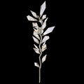 Fine Art Foret 58"H LSF Sconce