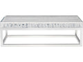 Arctic Rectangular Acrylic Top Coffee Table with Polished Stainless Steel Base
