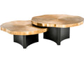 Thousand Oaks Round Coffee Table Set of 2 in Brass and Black