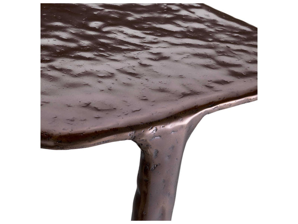 Tigra Free Form Side Table in Bronze Finish