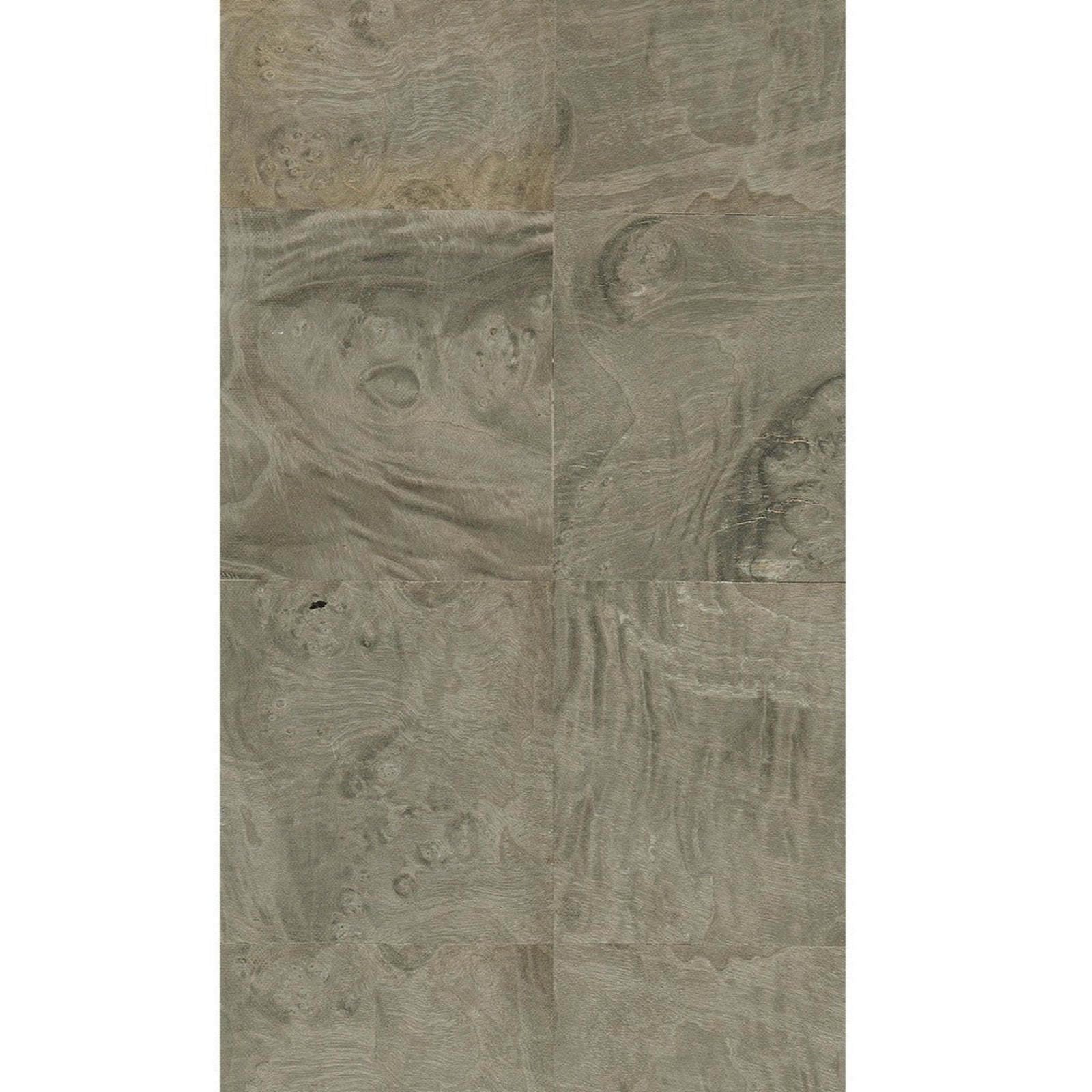 Jonathan Charles Surge Madrona Burl Desk (500401-DMB)