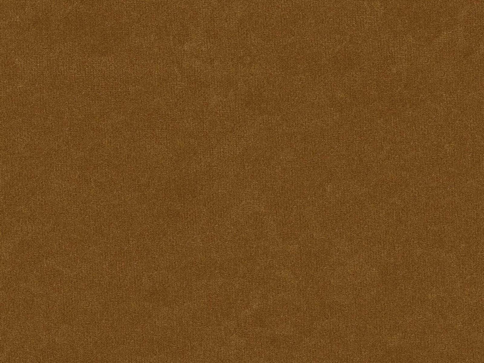 Continental Classics Tufted Upholstered Queen Panel Bed in Beeswax Brown
