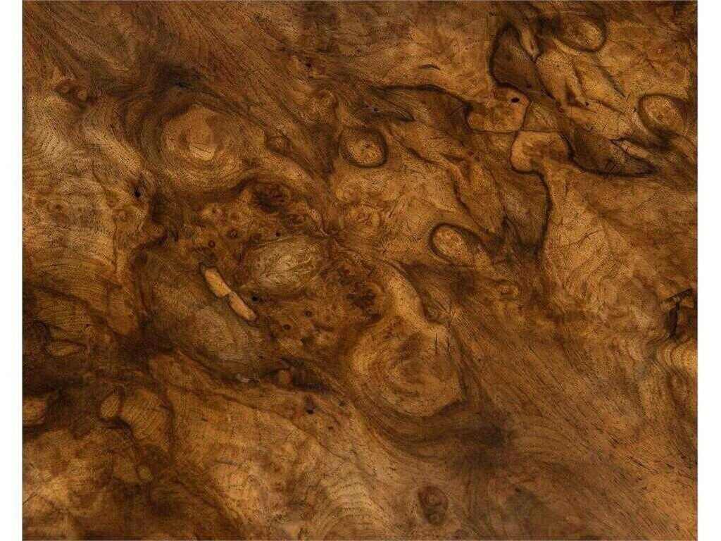 Woodcroft Three-Door Sideboard with European Walnut Burl and Aztec Gold Legs