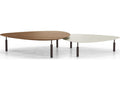 Luxcor Modluxe Livingston Nesting Coffee Tables in Walnut and Almond