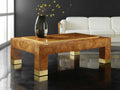 Stephanie Rectangular Wood Coffee Table with Brass Accents