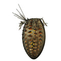 Meyda Lighting Stoneycreek Pinecone 25 Inch Wall Sconce Cp9827