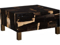 Petramosaic Square Petrified Wood Coffee Table in Black and Brown