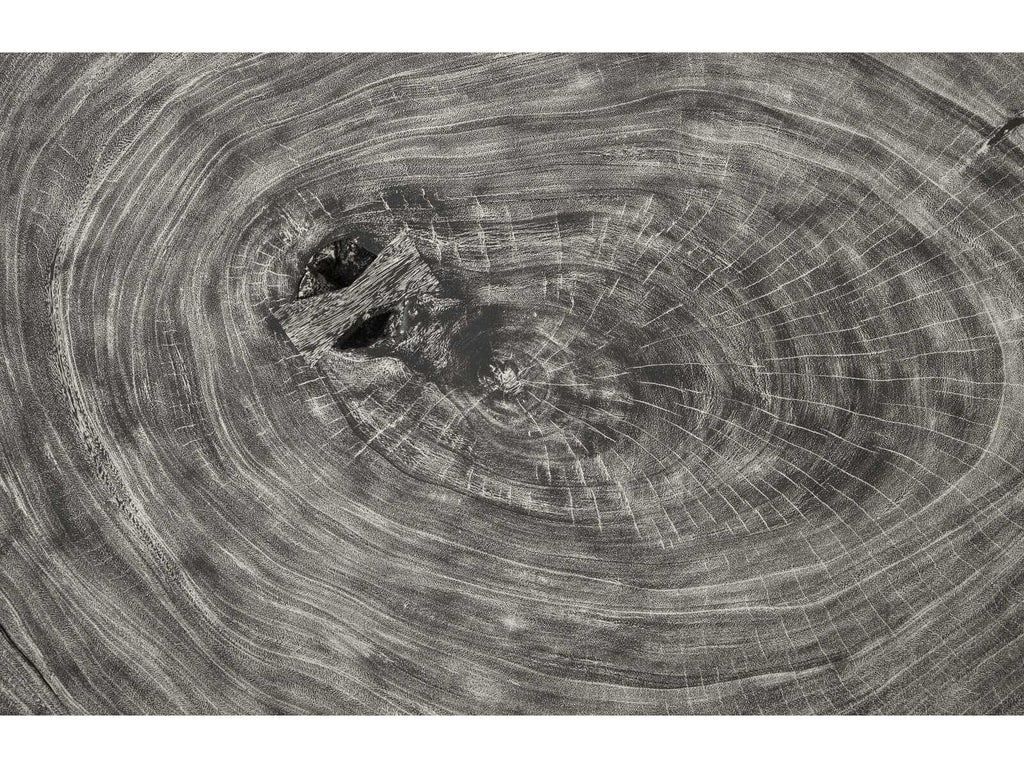 Flow Floating Wood Silver Gray Coffee Table