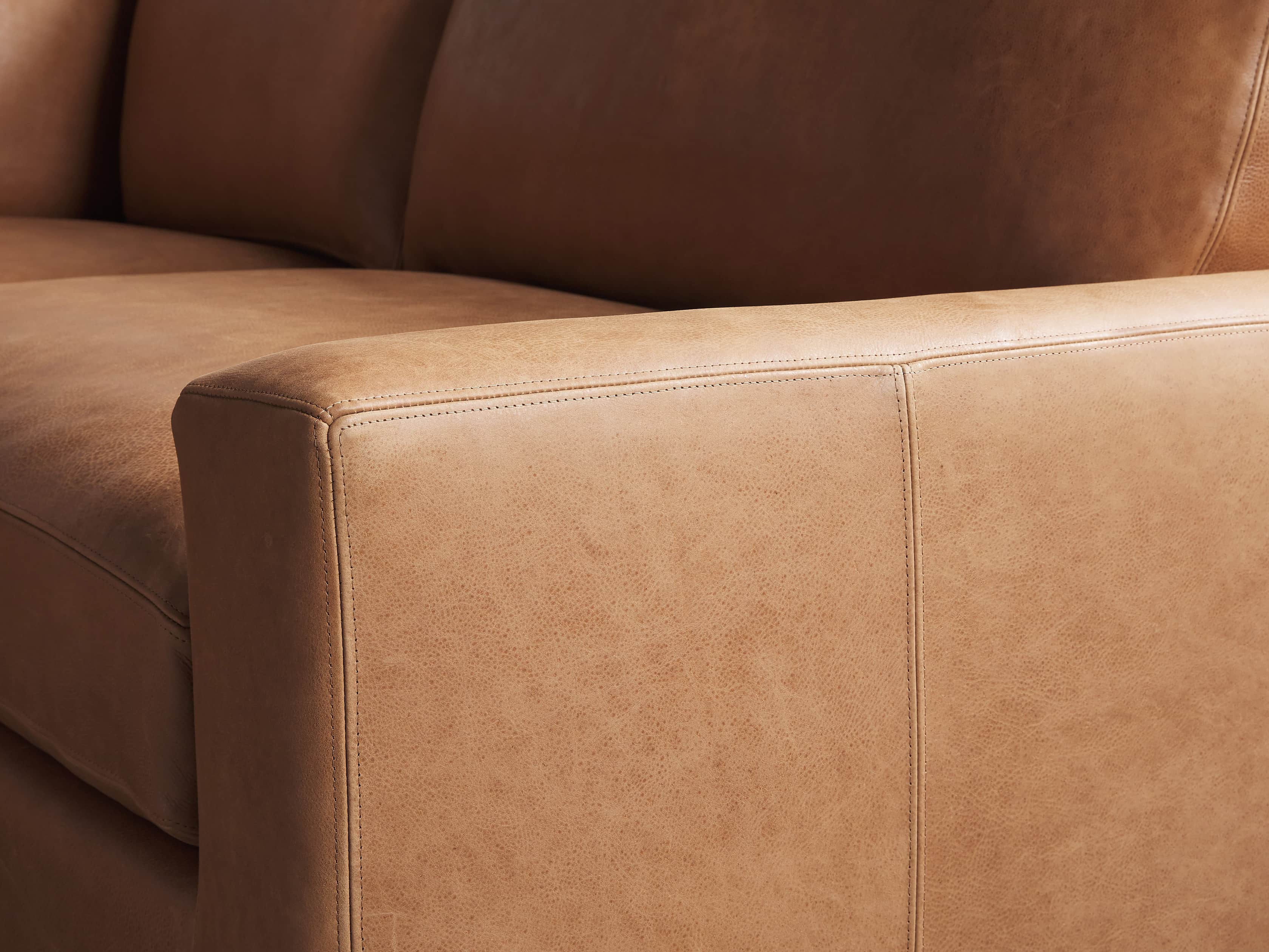 Remington Leather Two-Piece Sectional