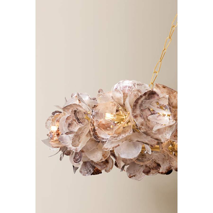 Corbett Lighting Galle 20 Light 54" Wide Abstract Chandelier with Oyster Shell Shades