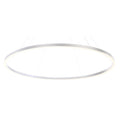 Eurofase Lighting Spunto 61" Wide 3000K LED Ring Chandelier