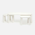 Taylam Rectangular Nesting Coffee Table