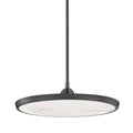 Hudson Valley Lighting Draper 20" Wide LED Pendant