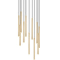 Z-Lite Forest 24" Wide Chandelier